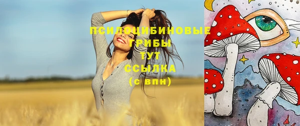 прущая мука Медвежьегорск