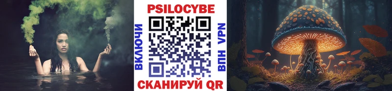 Галлюциногенные грибы прущие грибы  Купить  Ладушкин 